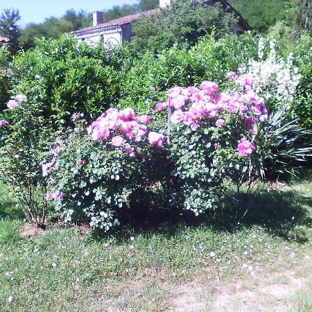 L'Ancien Patronage Guest House Caumont-sur-Garonne Eksteriør bilde