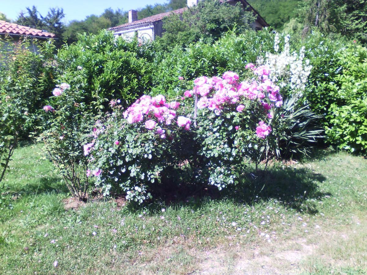 L'Ancien Patronage Guest House Caumont-sur-Garonne Eksteriør bilde