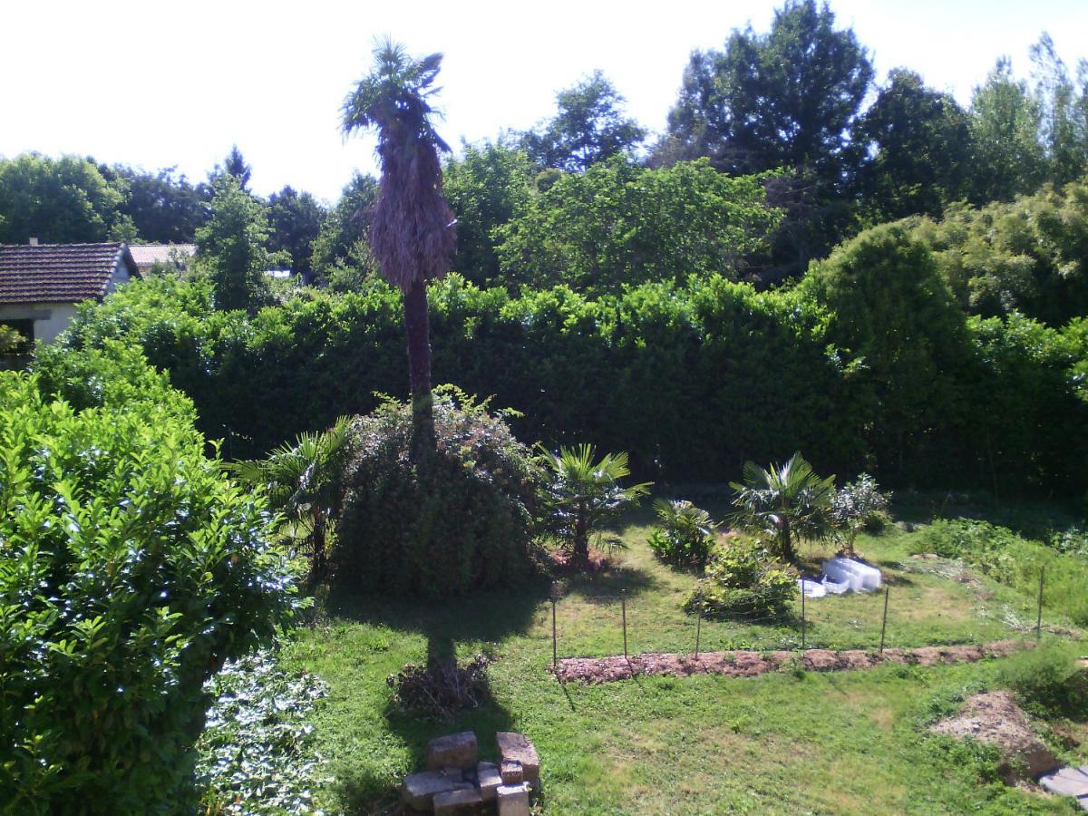 L'Ancien Patronage Guest House Caumont-sur-Garonne Eksteriør bilde