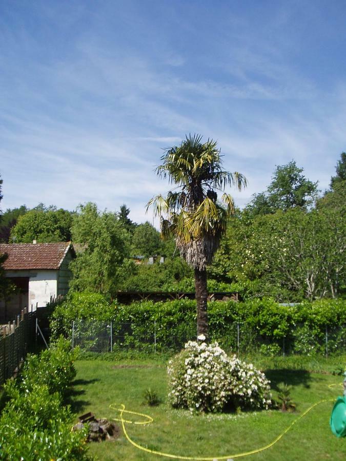 L'Ancien Patronage Guest House Caumont-sur-Garonne Eksteriør bilde